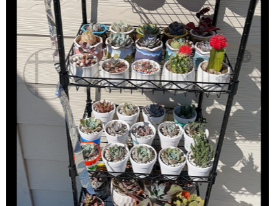 東南亞噴粉五層方塊網籃置物架成功案例分享