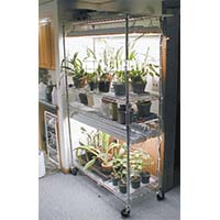 溫室大棚園藝栽培架_園林植物培育架_可調節層距樹苗花架（1）