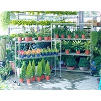 花草植物種植儲物架，立體種植貨架，園藝盆栽置物架（2）