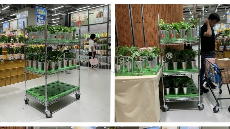 客戶案例展示：超市植物陳列金屬網(wǎng)架解決方案