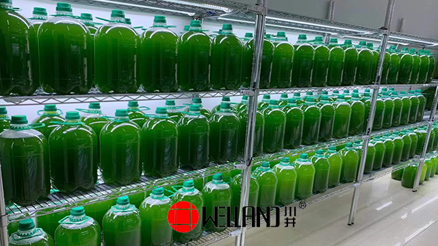 川井牌實驗室植物組培架，生物養殖架，小蝌蚪養育貨架——助力科研，提升孵化率！