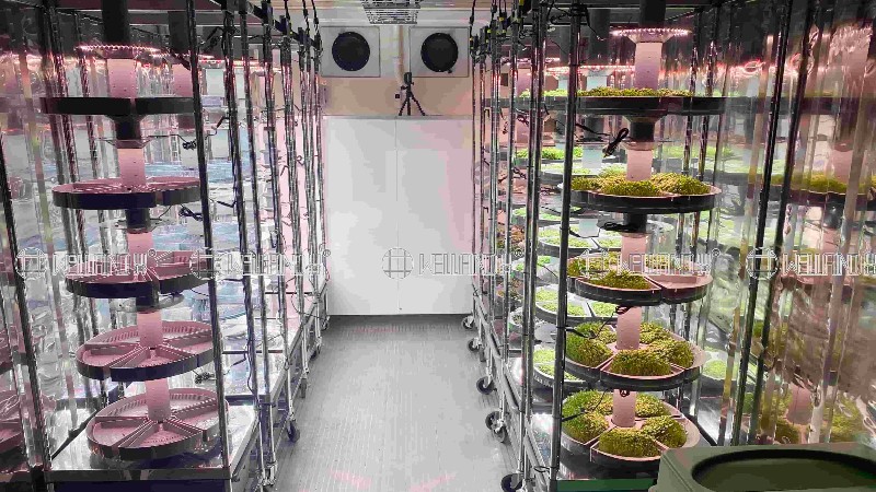 定制不銹鋼溫室種植架，為現代化農業賦能