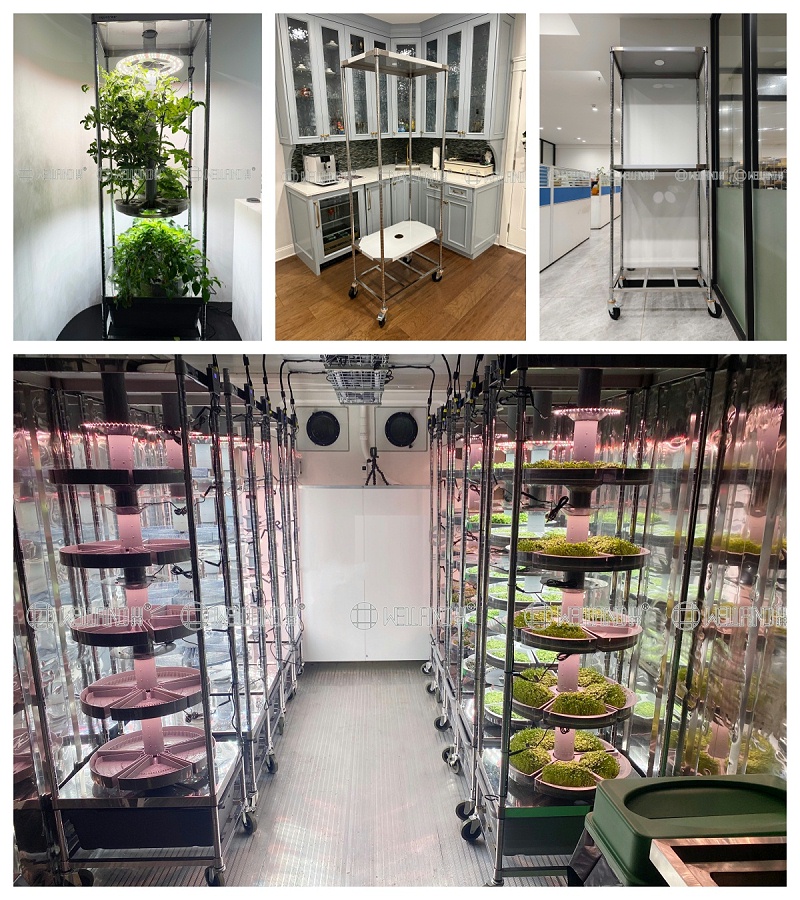 定制不銹鋼溫室種植架，為現代化農業賦能