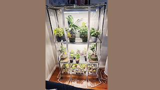 四層室內置物培育架成功案例分享