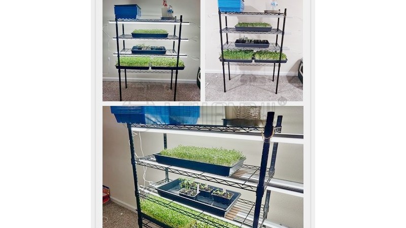 養殖蔬菜架子防銹露天種植層架可調節蘑菇蔬菜收納架