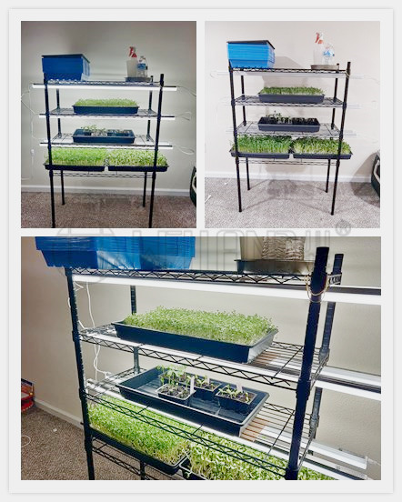 養殖蔬菜架子防銹露天種植層架可調節蘑菇蔬菜收納架-川井