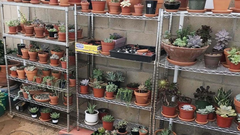 湖南花場園藝場,花店,立體種植場,培植機構案例